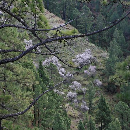 Casa Rural El Riachuelo Garafia Екстер'єр фото
